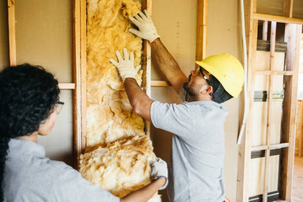 Best Insulation Contractor Near Me  in Bayport, NY